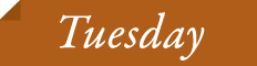 Tuesday